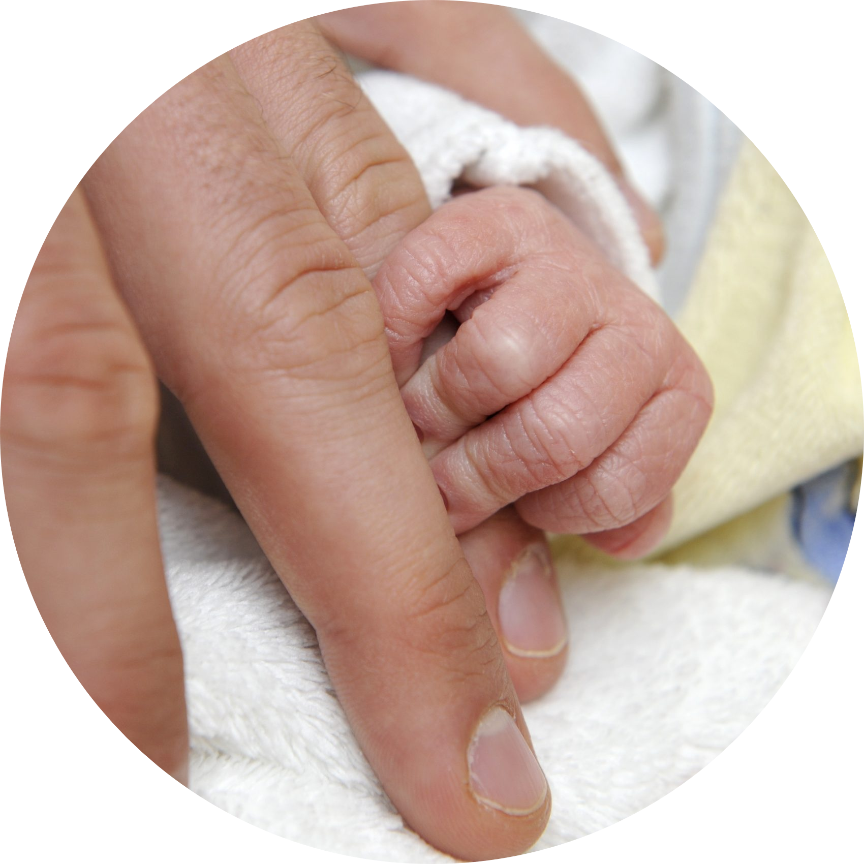 Nadine Schnittke, Bernauerin mit Herz