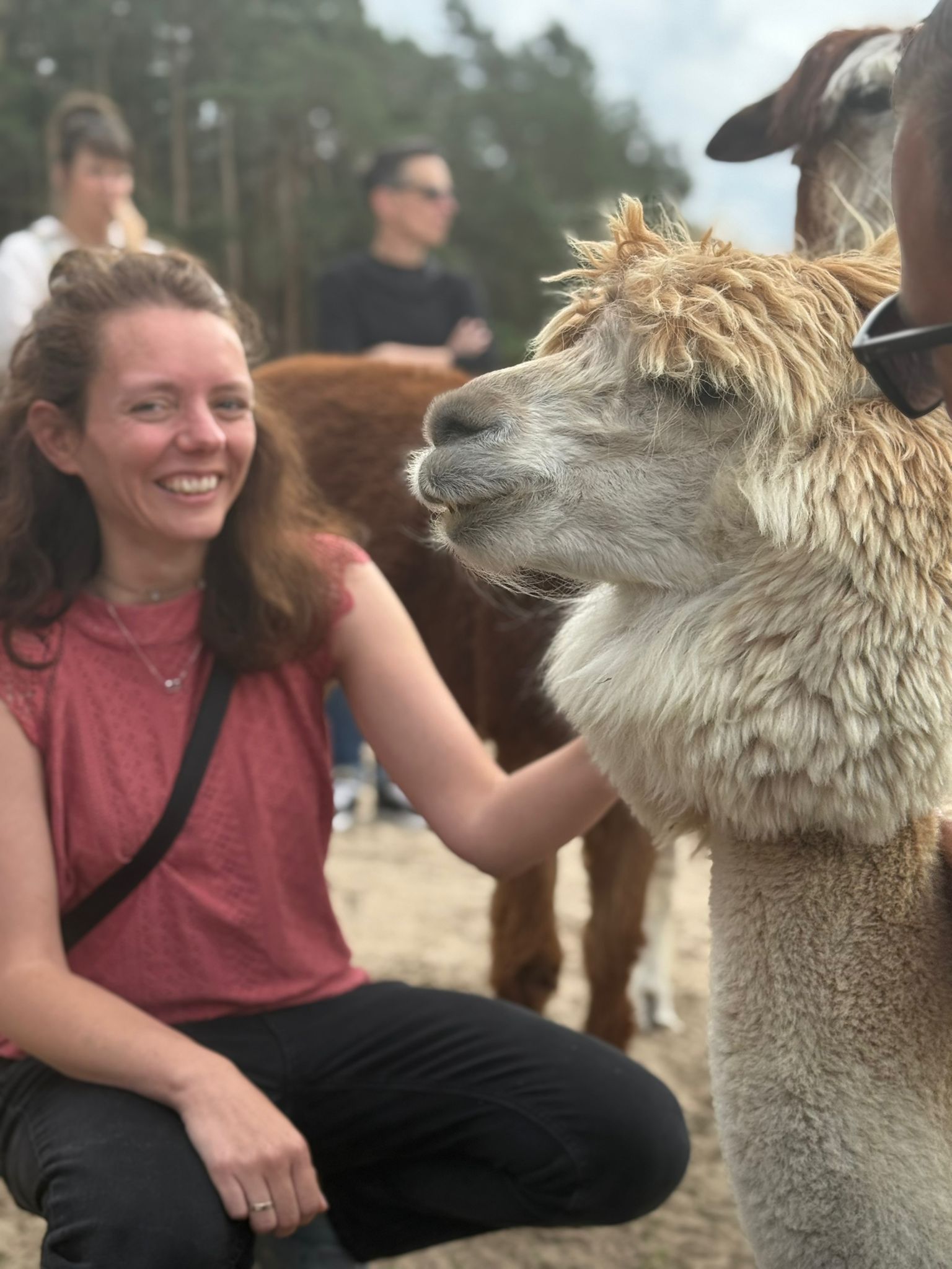 Nadine Schnittke neben einem Alpaka