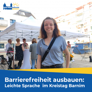 Kreistag Leichte Sprache